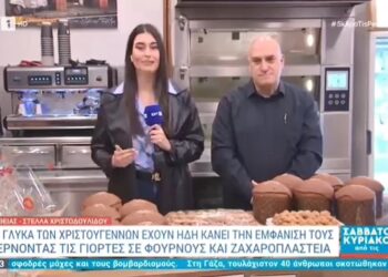 Ο Πρόεδρος της ΣΑΑΠΠ, Παναγιώτης Σαχινίδης στην εκπομπή της ΕΡΤ1 «Σαββατοκύριακο από τις 5»